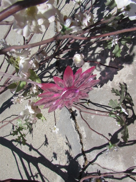 WISHING WELL & CHERRY BRANCH