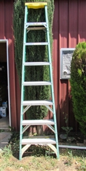 8 FT LADDER
