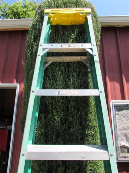 8 FT' LADDER